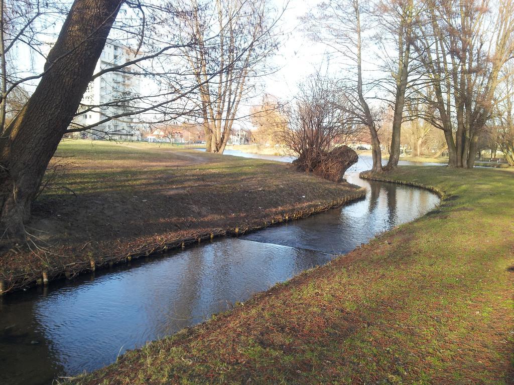 Cozy Apartment With Garden Gdansk Bagian luar foto